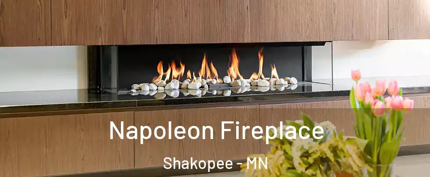  Napoleon Fireplace Shakopee - MN