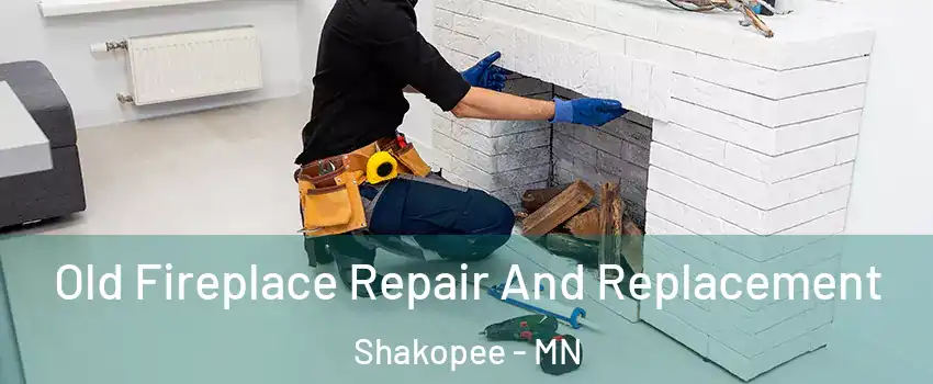  Old Fireplace Repair And Replacement Shakopee - MN