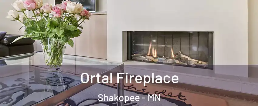 Ortal Fireplace Shakopee - MN
