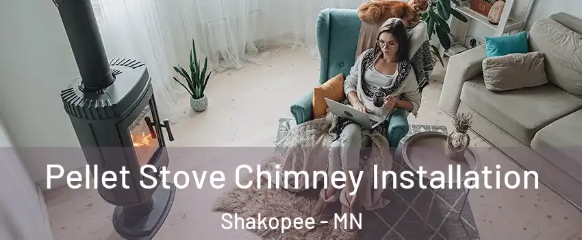 Pellet Stove Chimney Installation Shakopee - MN
