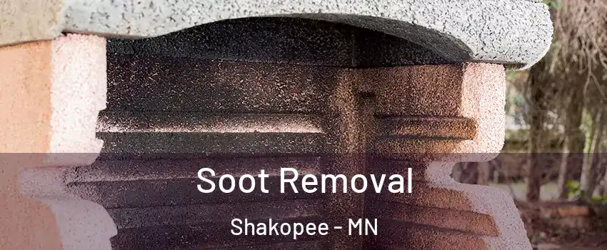  Soot Removal Shakopee - MN