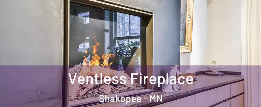  Ventless Fireplace Shakopee - MN