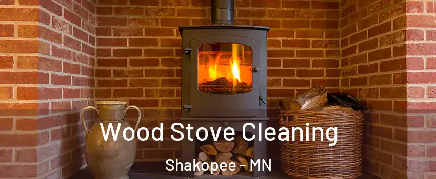  Wood Stove Cleaning Shakopee - MN