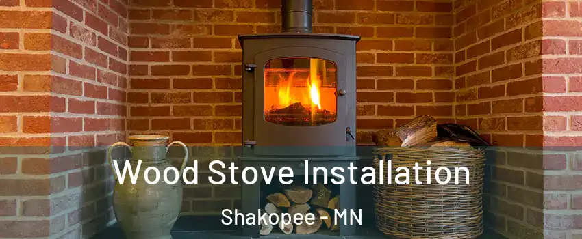  Wood Stove Installation Shakopee - MN